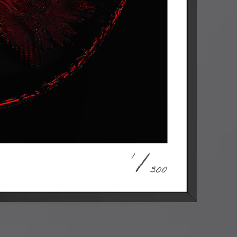 THE DEATH OF PEACE OF MIND (Fine Art Photography - 9.1" x 9.7"/ 23.1 x 24.7cm)