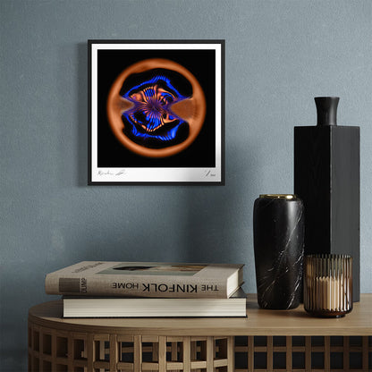 Damocles (Fine Art Photography - 9.1"x 9.7" / 23.1 x 24.7cm)