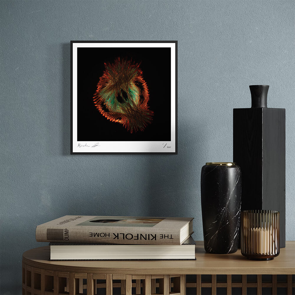 Emergence (Fine Art Photography - 9.1"x 9.7" / 23.1 x 24.7cm)