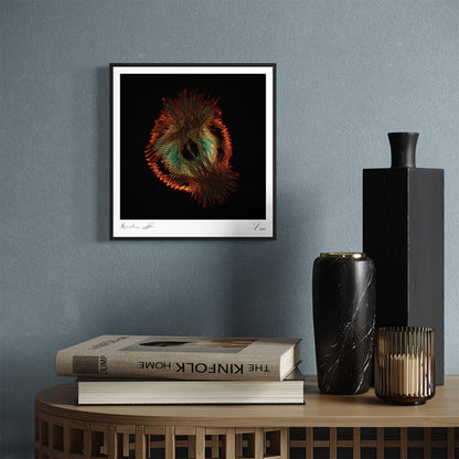 Emergence (Fine Art Photography - 9.1"x 9.7" / 23.1 x 24.7cm)