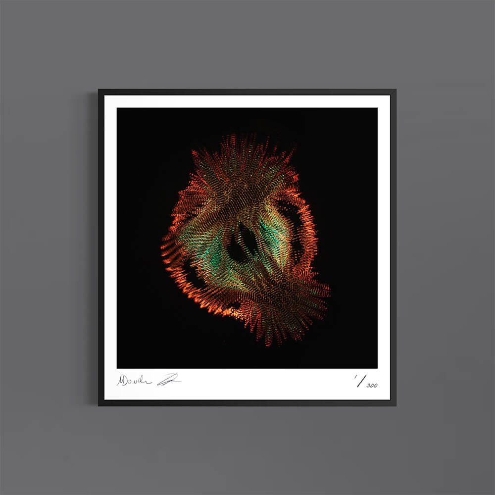 Emergence (Fine Art Photography - 9.1"x 9.7" / 23.1 x 24.7cm)