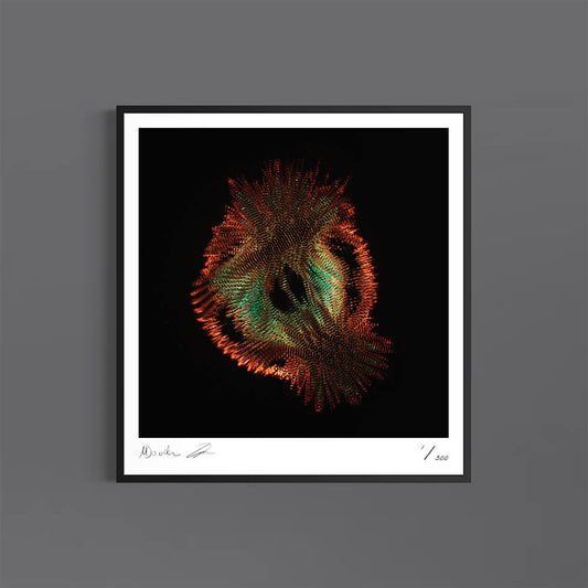 Emergence (Fine Art Fotografie - 9.1"x 9.7" / 23.1 x 24.7cm)