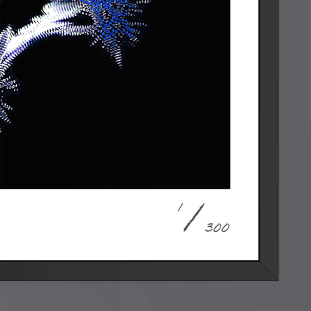 Throne (Fine Art Photography - 9.1"x 9.7" / 23.1 x 24.7cm)