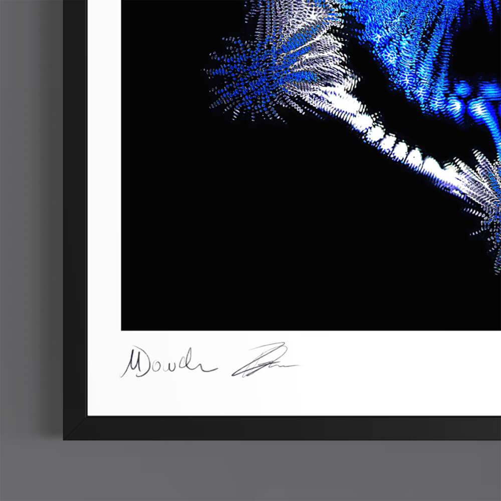 Throne (Fine Art Photography - 9.1"x 9.7" / 23.1 x 24.7cm)