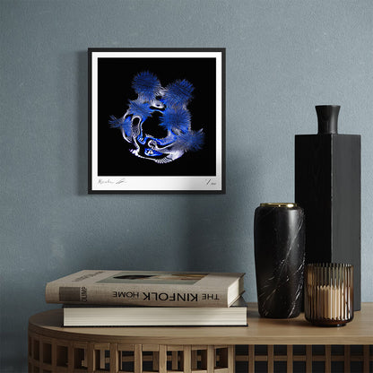 Limits (Fine Art Photography - 9.1"x 9.7" / 23.1 x 24.7cm)