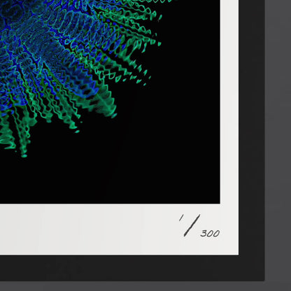 Ascensionism - Limitiertere Kunstprints