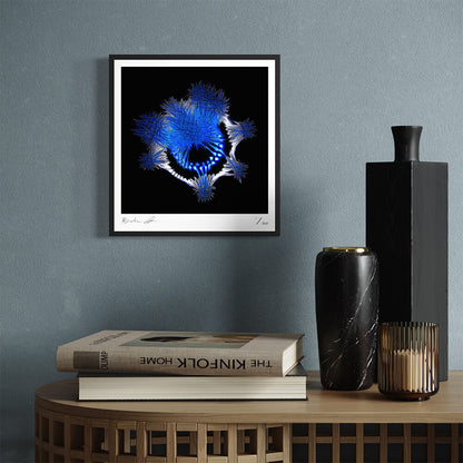 Throne (Fine Art Photography - 9.1"x 9.7" / 23.1 x 24.7cm)